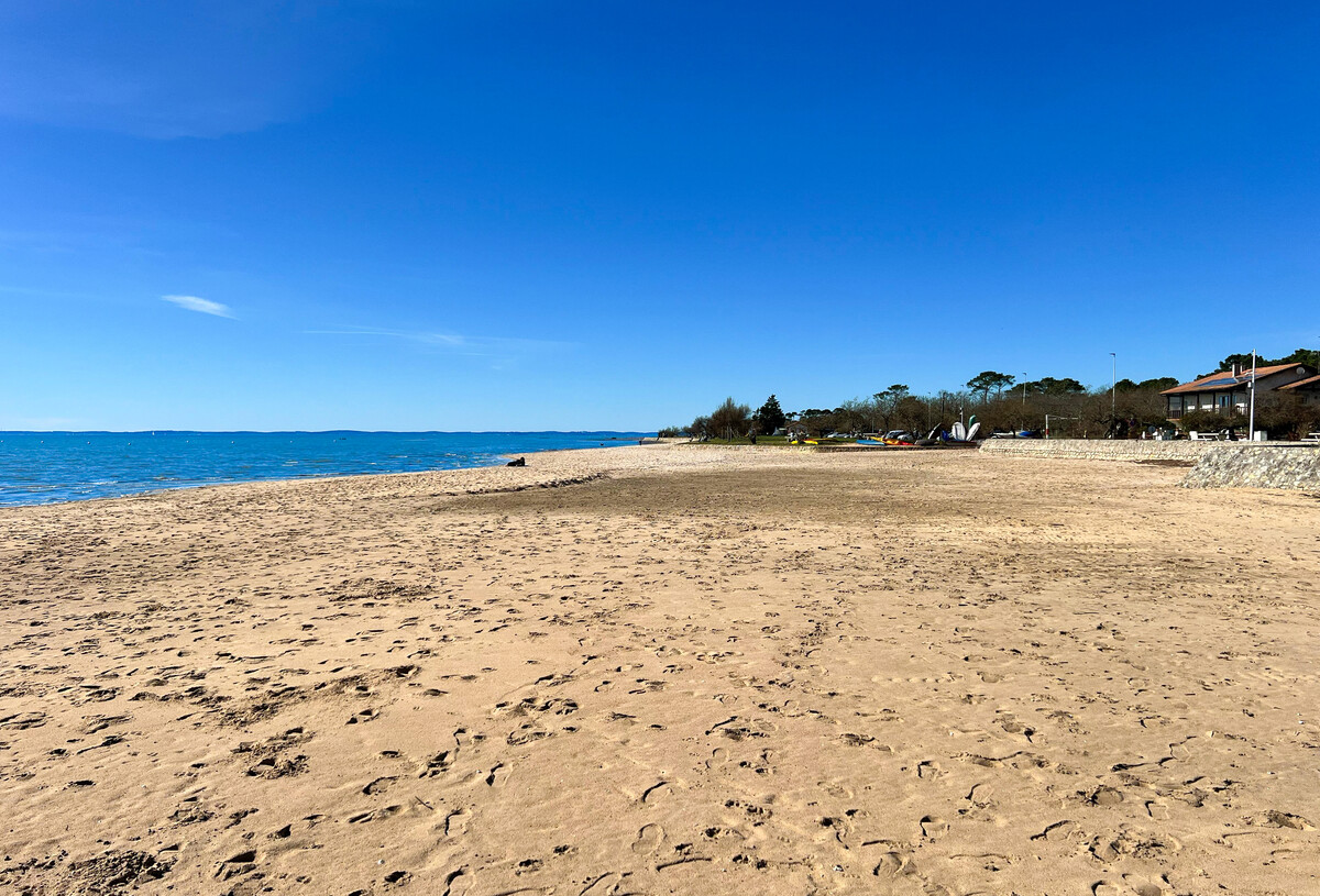 coq_hardi_plage_2025_fr-87648466.jpg