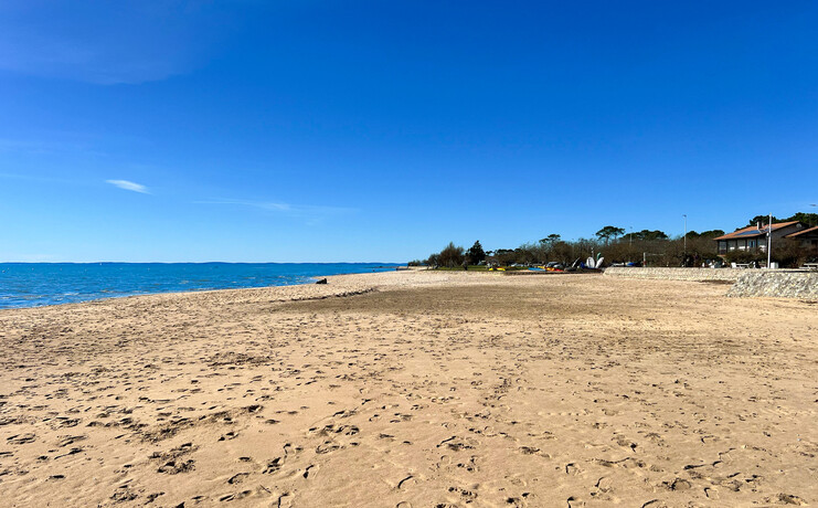 coq_hardi_plage_2025_fr-87648466.jpg